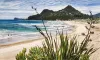 A Limited Edition fine art print of Paku at Tairua by New Zealand artist Jane Galloway, available at The Little Gallery Whangamata